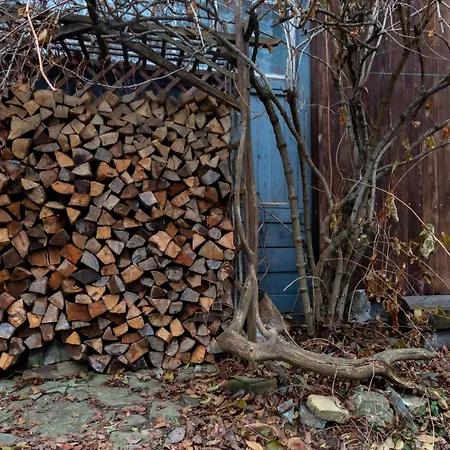 файна чічка Jaremče