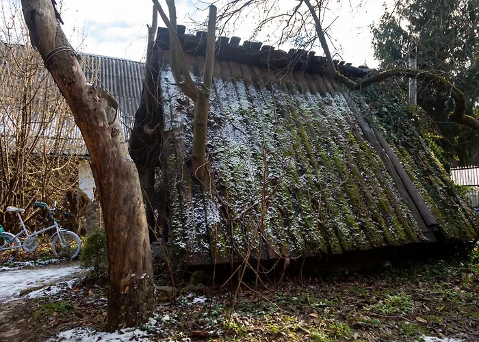 файна чічка Tatil Evi *