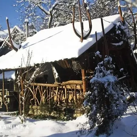 файна чічка Yaremche
