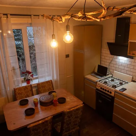 файна чічка Casa de Férias Yaremche